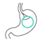 Intragastric-Balloon-Icon Intragastric-Balloon-Icon